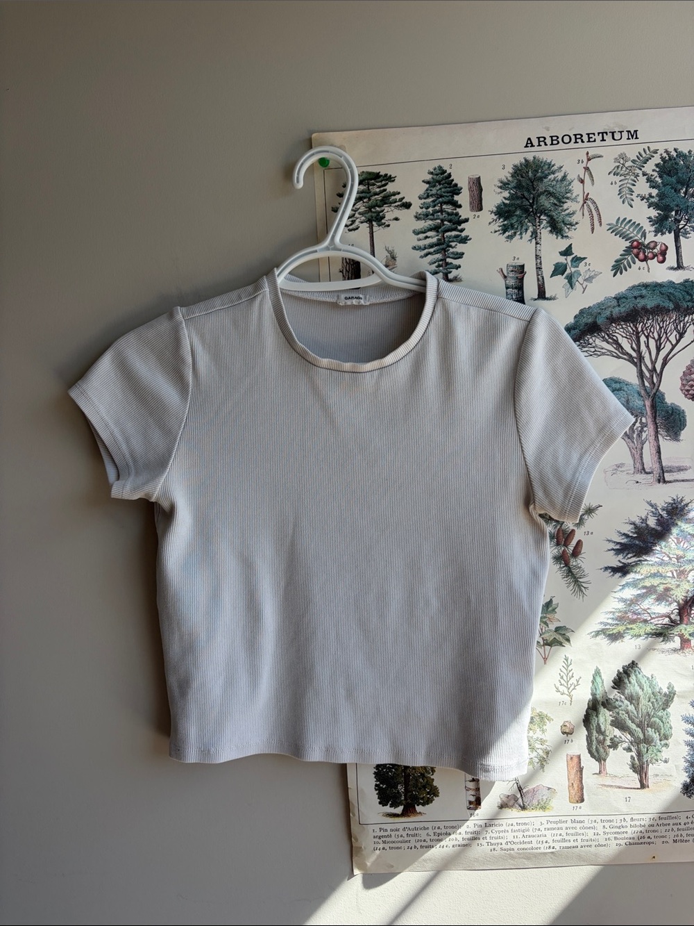 Garage ribbed crop medium
